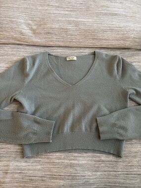Brandy Melville Cropped V-Neck Sweater